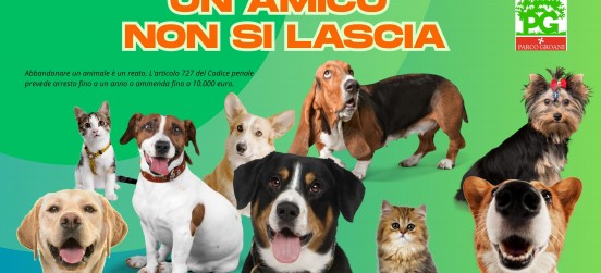 Un amico non si abbandona. Mai.