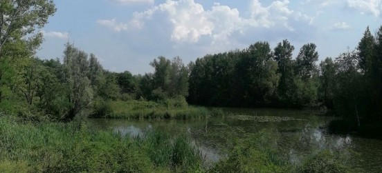 Autunno tra natura e scoperta: tutti gli eventi dell’Oasi Lipu di Cesano Maderno