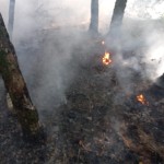 WhatsApp Image 2025-08-18 at 11.39.45