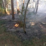 WhatsApp Image 2025-08-18 at 11.39.46