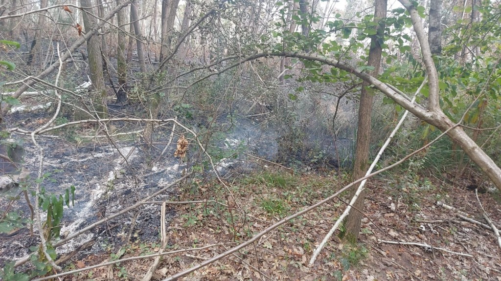 WhatsApp Image 2025-08-20 at 15.59.02