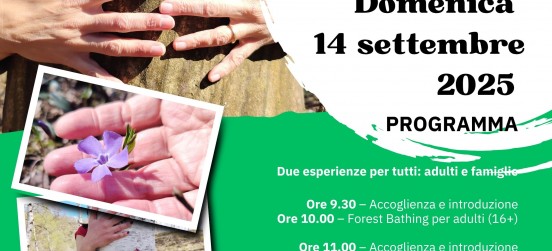 Respirare il bosco: il 14 settembre il Forest Bathing alle Groane