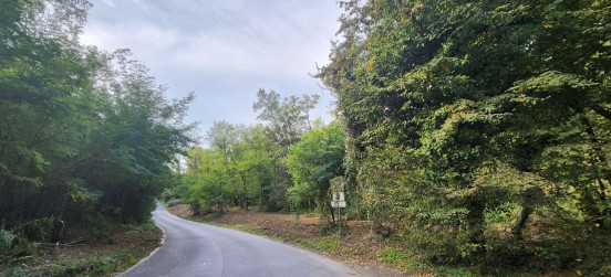 Groane, pulizia del sottobosco per contrastare lo spaccio: via ai lavori da sud a nord del Parco