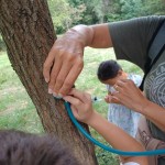 WhatsApp Image 2025-09-14 at 14.41.27 (2)