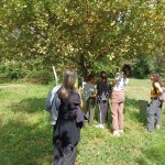 WhatsApp Image 2025-09-14 at 14.41.27 (3)