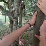 WhatsApp Image 2025-09-14 at 14.41.28