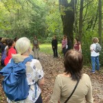 WhatsApp Image 2025-09-14 at 15.43.35