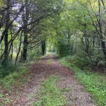 WhatsApp Image 2025-09-14 at 15.43.39 (1)