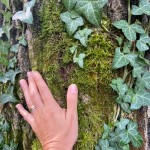 WhatsApp Image 2025-09-14 at 15.43.39