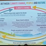 WhatsApp Image 2025-09-19 at 23.11.02 (5)