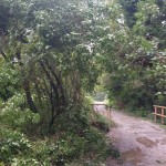 WhatsApp Image 2025-09-27 at 12.10.32 (1)