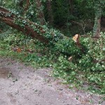 WhatsApp Image 2025-09-27 at 12.10.32 (2)