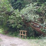 WhatsApp Image 2025-09-27 at 12.10.32 (3)