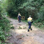 WhatsApp Image 2025-09-27 at 12.10.32 (4)