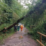 WhatsApp Image 2025-09-27 at 12.10.32 (5)