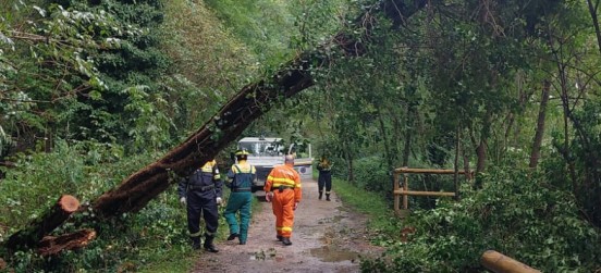 Volontari del Parco delle Groane in prima linea anche nel weekend