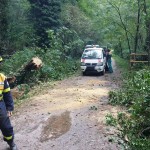 WhatsApp Image 2025-09-27 at 12.10.32 (7)