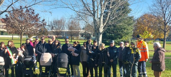 Ancora foto della Festa dell’Albero a Barlassina, Vertemate e Cabiate