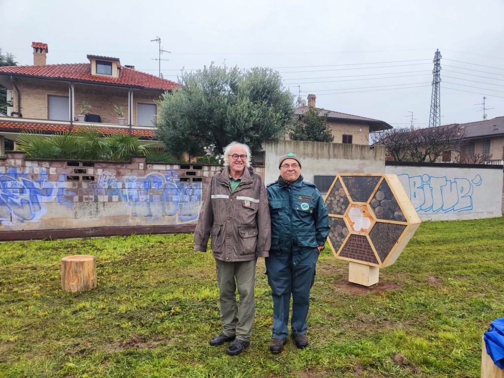 Cesano-Maderno-Festa Albero (1)
