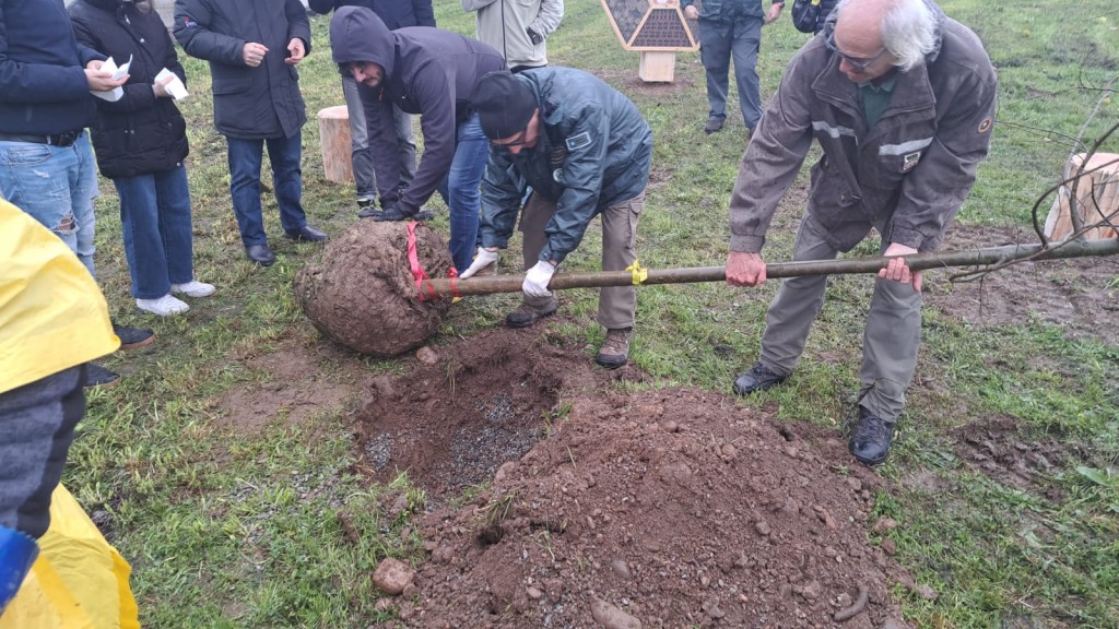 Cesano-Maderno-Festa Albero (2)