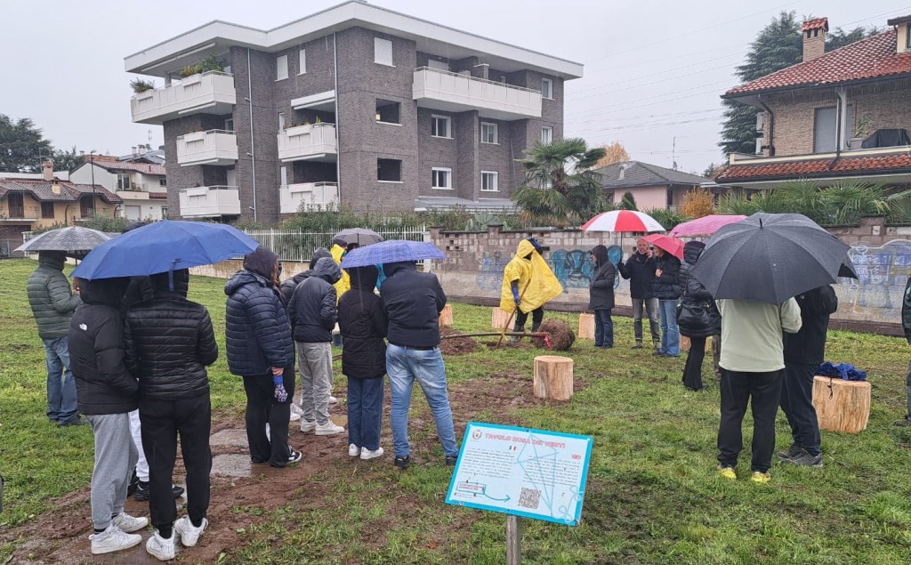 Cesano-Maderno-Festa Albero (3)