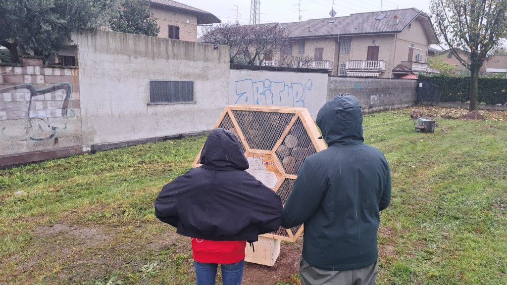 Cesano-Maderno-Festa Albero (4)