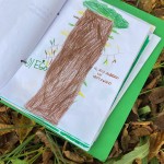 Festa Albero 2025 Cesate (10)