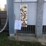 Festa Albero 2025 Cesate (11)