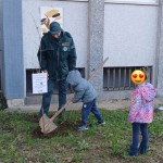 Festa Albero 2025 Cesate (3)