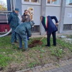 Festa Albero 2025 Cesate (4)