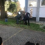 Festa Albero 2025 Cesate (6)