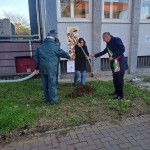 Festa Albero 2025 Cesate (6)