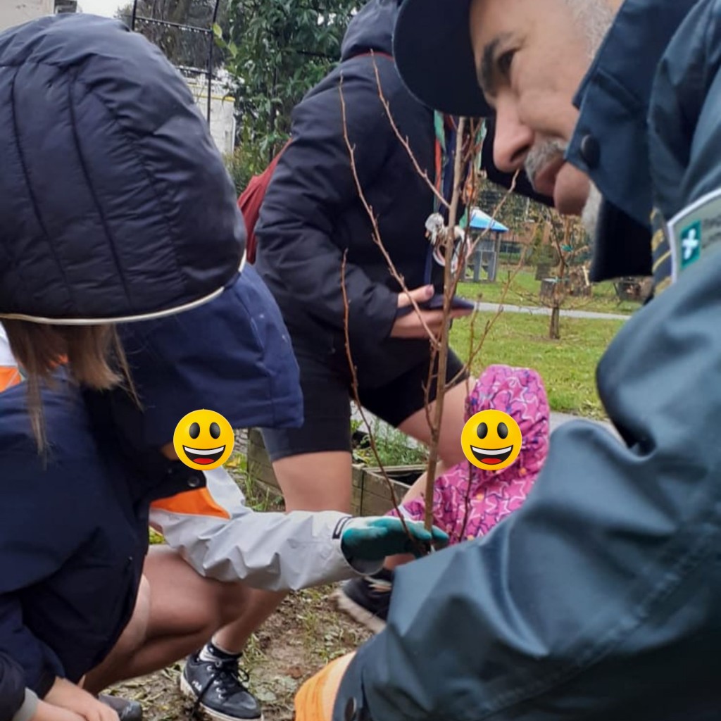 Festa Albero Arese (1)