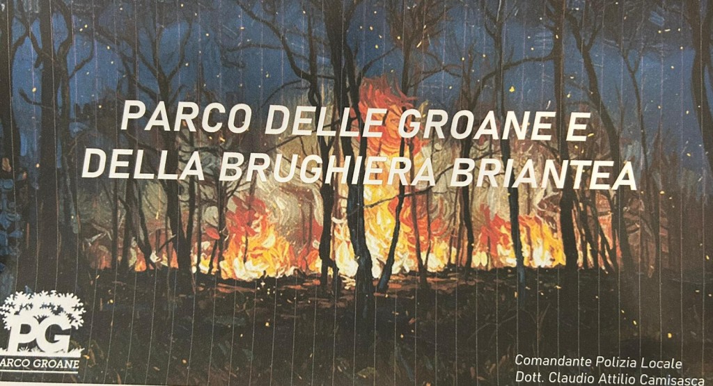 WhatsApp Image 2025-10-29 at 13.17.30