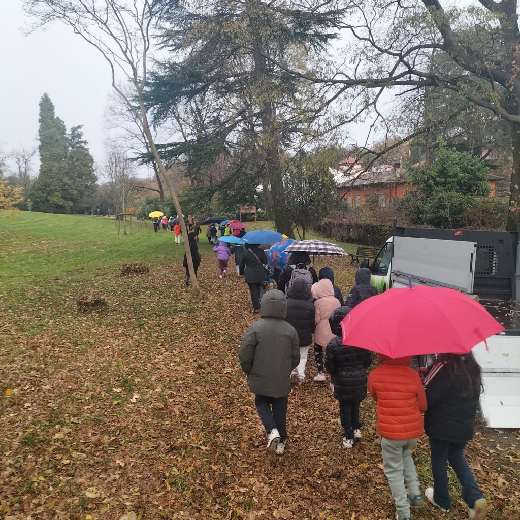 WhatsApp Image 2025-11-21 at 10.31.36 (1)