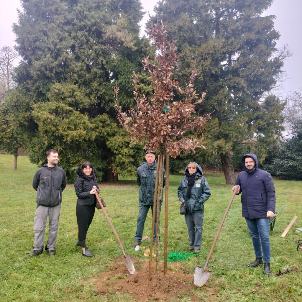 WhatsApp Image 2025-11-21 at 10.31.37