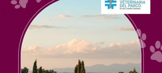 Pastori, cani e greggi, riuscita la serata per imparare a convivere nel Parco