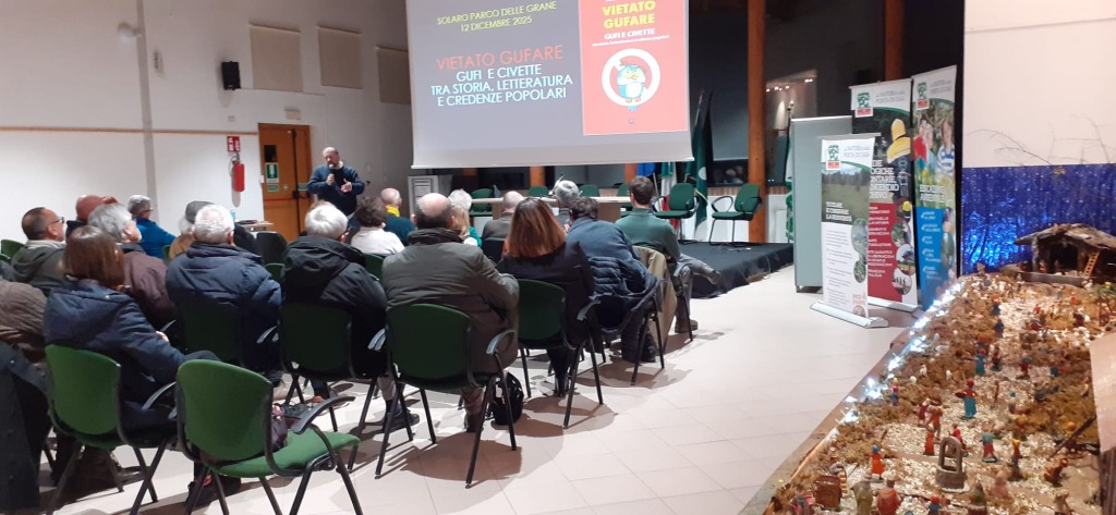 WhatsApp Image 2025-12-13 at 08.00.40