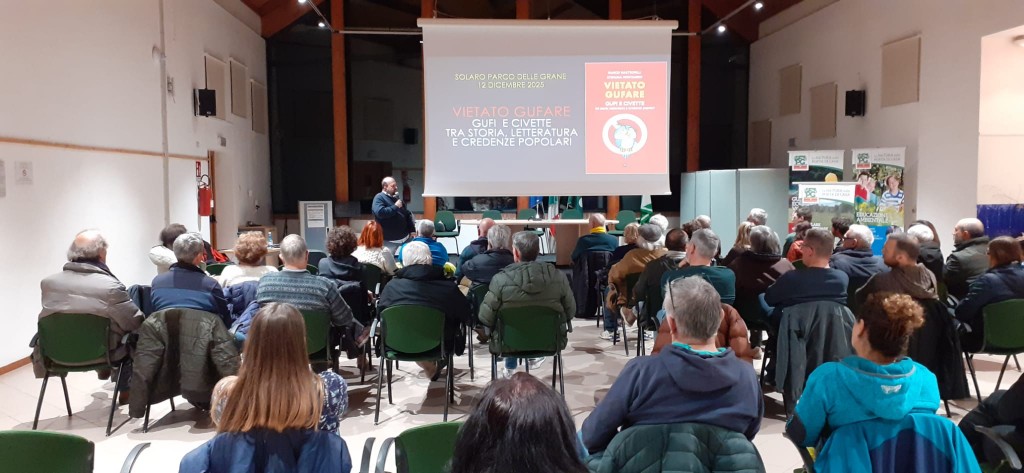 WhatsApp Image 2025-12-13 at 08.00.41 (1)