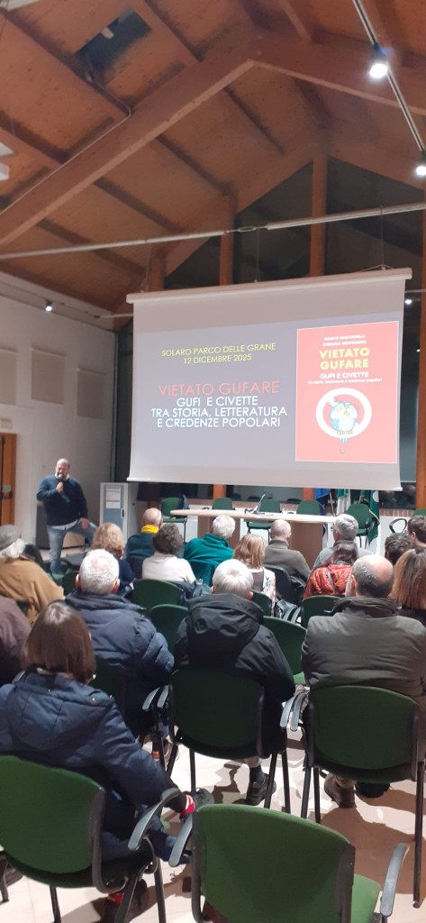 WhatsApp Image 2025-12-13 at 08.00.41