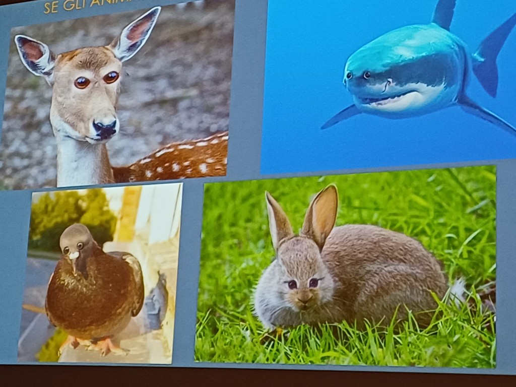 WhatsApp Image 2025-12-14 at 18.05.45 (1)