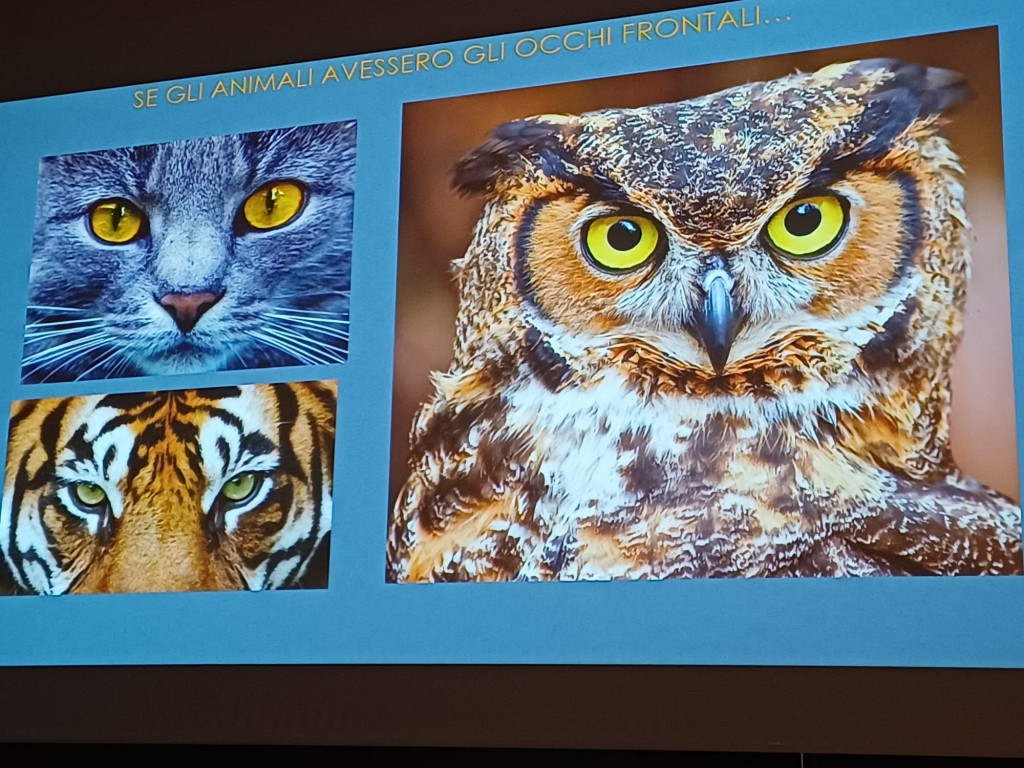 WhatsApp Image 2025-12-14 at 18.05.45