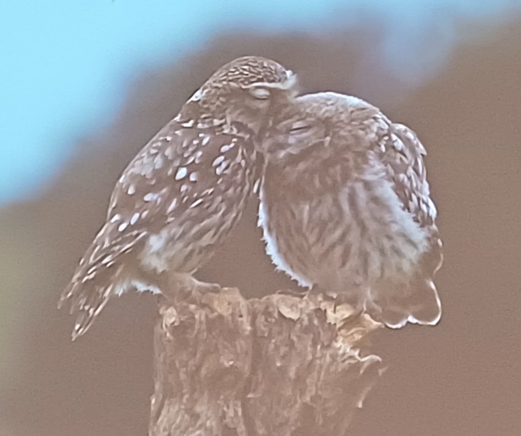 WhatsApp Image 2025-12-14 at 18.05.46 (1)