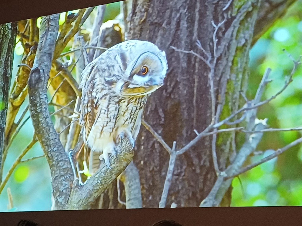 WhatsApp Image 2025-12-14 at 18.05.46