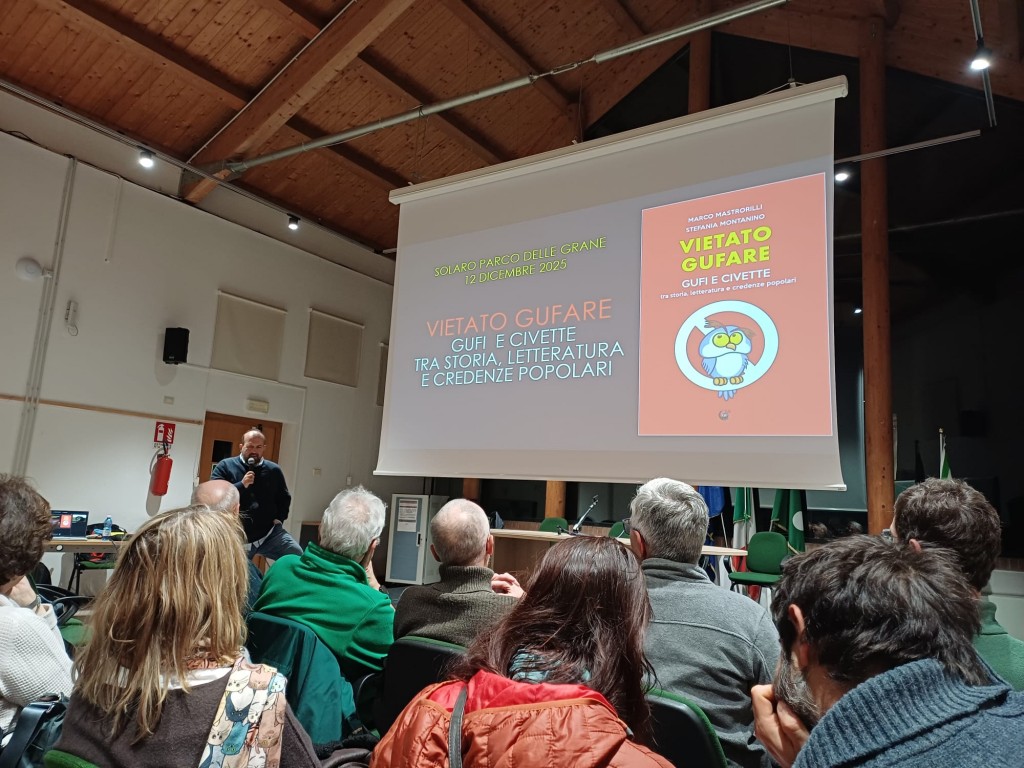 WhatsApp Image 2025-12-14 at 18.05.46 (2)