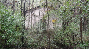 DSC00714