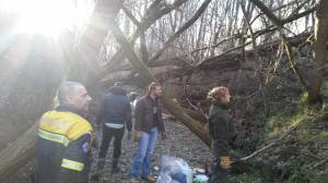 10834865_392297057613034_4028195738529600289_o