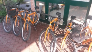 20150418_093548 bici