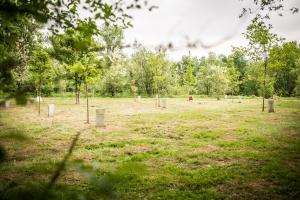 Cerimonia Solaro 2015-3