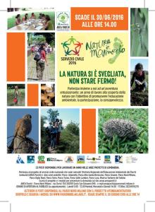 A5 servizio civilejpg_Page1